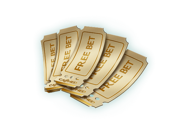 Free Bet 310